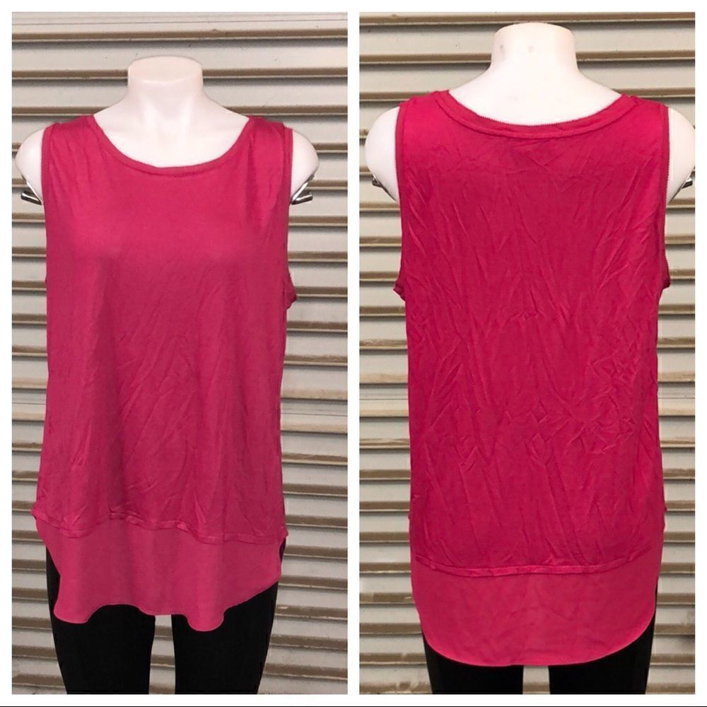 🛍️Ann Taylor Loft tunic style top with sheer trim